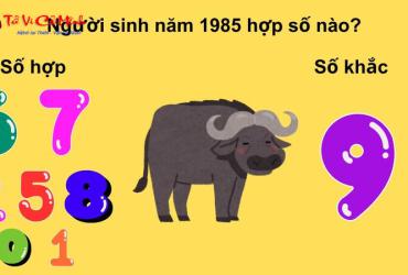 Sinh Năm 1985? Khám Phá Con Số Vàng Và Bí Mật Sim Phong Thủy Thay Đổi Vận Mệnh!