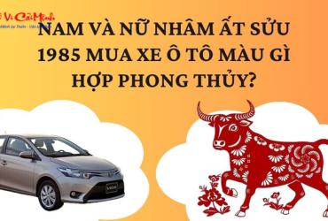 Sinh năm 1985 mua xe màu gì? Chọn màu xe hợp phong thủy cho tuổi Ất Sửu