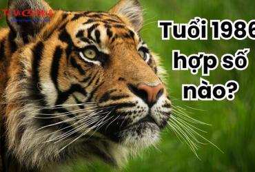 Bí Mật Con Số May Mắn Tuổi 1986: Khám Phá Sim Phong Thủy Tăng Tài Lộc
