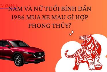 Sinh năm 1986 mua xe màu gì? [Bí quyết phong thủy hút tài lộc]