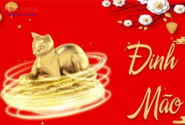 Hướng Kê Giường Ngủ Cho Người Sinh Năm 1987: Khoa Học & Phong Thủy