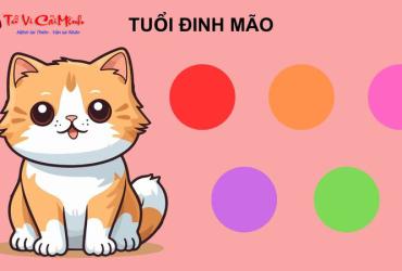 Sinh năm 1987 hợp màu gì? Hướng dẫn chi tiết về màu sắc phong thủy