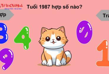 Khám Phá Con Số May Mắn Năm 1987: Bí Mật Sim Phong Thủy Đổi Đời!