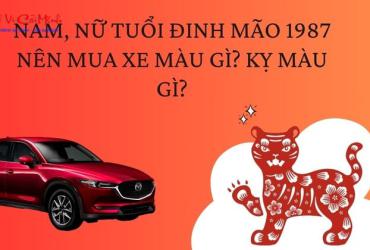 Sinh năm 1987 mua xe màu gì? Màu xe phong thủy hợp tuổi Đinh Mão
