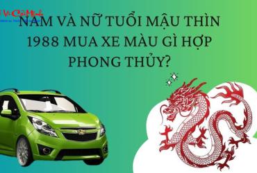 Sinh năm 1988 mua xe màu gì? Gợi ý màu xe hợp phong thủy cho tuổi Mậu Thìn