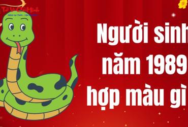 Người Sinh Năm 1989 Phải Biết: Bí Mật Màu Sắc Phong Thủy Mang Lại Tài Lộc!