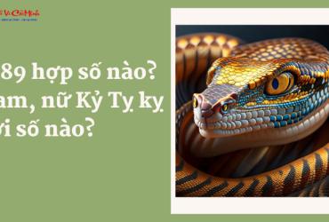 Khám Phá Số May Mắn Và Sim Phong Thủy Chuẩn Cho Người Sinh Năm 1989