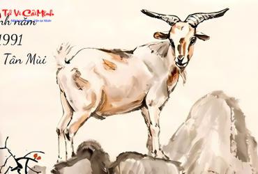 Hướng Kê Giường Ngủ Cho Người Sinh Năm 1991: Cách Tối Ưu Cho Sức Khỏe Và Vận Mệnh