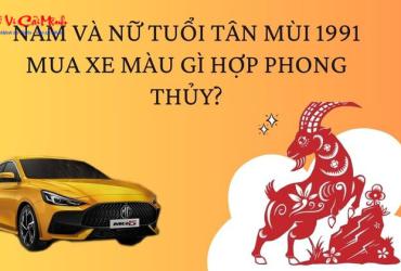 Sinh năm 1991 mua xe màu gì? Bí quyết chọn màu xe hợp phong thủy cho tuổi Tân Mùi
