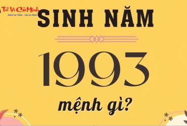 Tuổi Quý Dậu 1993 – Bí Ẩn Mệnh Kim Và Cách Tối Ưu Phong Thủy