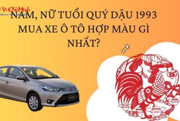 Sinh năm 1993 mua xe màu gì? Bật mí màu xe hợp phong thủy cho tuổi Quý Dậu