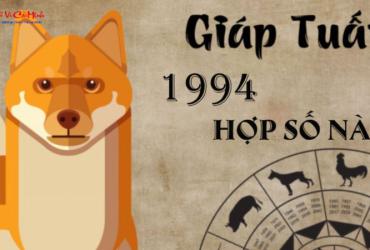 Bí Mật Số May Mắn Tuổi Giáp Tuất 1994: Chọn Sim Phong Thủy Hút Tài Lộc