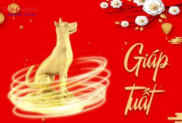 Sinh năm 1994 mệnh gì? Khám phá bí mật mệnh Hỏa Giáp Tuất