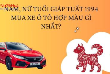 Sinh năm 1994 mua xe màu gì? Gợi ý màu xe hợp tuổi Giáp Tuất