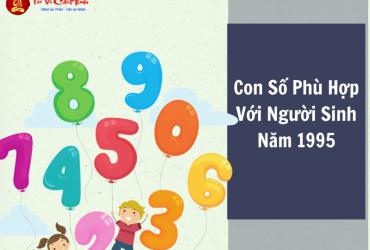 Khám Phá Bí Mật Con Số May Mắn Và Sim Phong Thủy Cho Tuổi Ất Hợi 1995