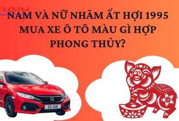 Sinh năm 1995 mua xe màu gì? Phân tích theo phong thủy