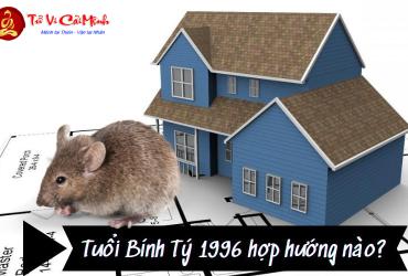 Sinh năm 1996 hợp hướng nào? Hướng dẫn toàn diện cho người tuổi Bính Tý