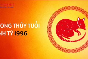 Sinh Năm 1996 Hợp Số Nào? Hé Lộ Bí Quyết Chọn Sim Phong Thủy Kích Tài Lộc!
