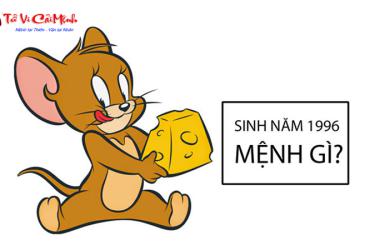 Sinh năm 1996 mệnh gì? Khám phá bí ẩn tuổi Bính Tý và mệnh Giản Hạ Thủy