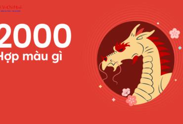 Sinh năm 2000 hợp màu gì? Bí quyết chọn màu sắc phong thủy cho tuổi Canh Thìn