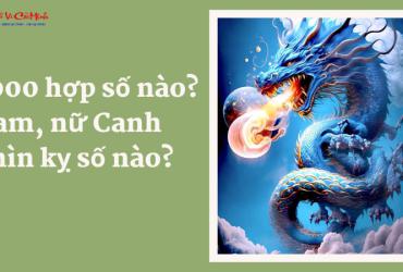 Khám Phá Bí Mật: Sinh Năm 2000 Hợp Số Nào Và Cách Chọn Sim Phong Thủy Tăng Tài Lộc
