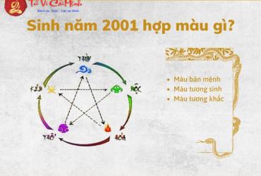 Sinh năm 2001 hợp màu gì? Bí quyết phong thủy cho người tuổi Tân Tỵ