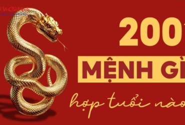 Sinh năm 2001 mệnh gì? Khám phá mệnh Bạch Lạp Kim của tuổi Tân Tỵ