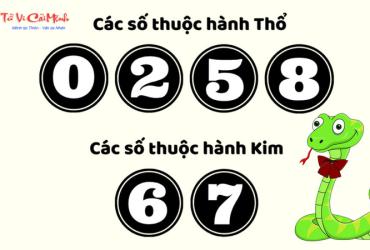 Sinh năm 2001 hợp số mấy? Sim phong thủy cho người sinh năm 2001