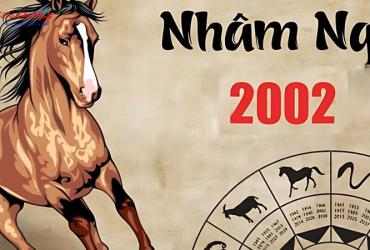 Sinh năm 2002 hợp hướng nào? Phân tích đầy đủ theo phong thủy