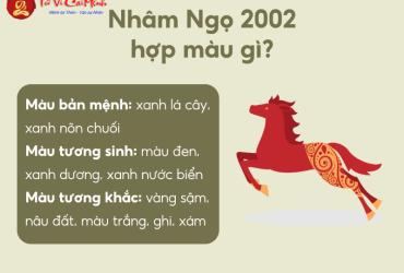 Sinh năm 2002 hợp màu gì? Phân tích chi tiết màu sắc phong thủy cho tuổi Nhâm Ngọ
