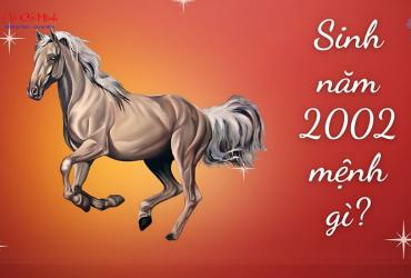 Sinh năm 2002 mệnh gì? Khám phá bản mệnh và vận số của tuổi Nhâm Ngọ