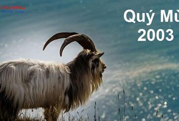 Sinh Năm 2003 Hợp Hướng Nào? Phân Tích Chi Tiết Theo Phong Thủy