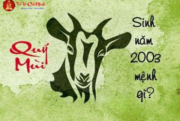 Sinh năm 2003 mệnh gì? Khám phá bí ẩn mệnh Dương Liễu Mộc