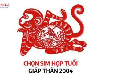 Sinh năm 2004 hợp số mấy? Sim phong thủy cho người sinh năm 2004