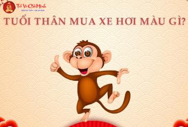 Sinh năm 2004 mua xe màu gì? Chọn màu xe hợp mệnh Thủy mang lại may mắn