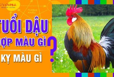 Sinh năm 2005 hợp màu gì? Khám phá màu sắc phong thủy cho tuổi Ất Dậu