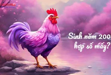 Sinh năm 2005 hợp số mấy? Sim phong thủy cho người sinh năm 2005