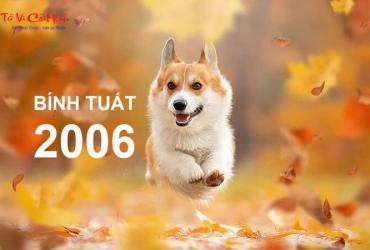 Sinh năm 2006 hợp hướng nào? Phân tích toàn diện theo phong thủy