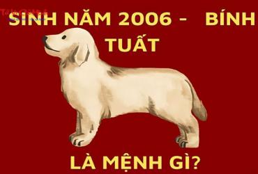 Sinh năm 2006 mệnh gì? Khám phá vận mệnh Bính Tuất theo ngũ hành phong thủy