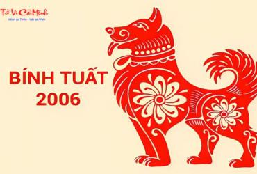 Sinh năm 2006 mua xe màu gì? Phân tích chi tiết theo phong thủy