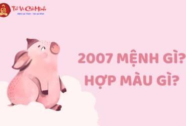 Sinh năm 2007 hợp màu gì? Bật mí màu sắc mang lại may mắn cho tuổi Đinh Hợi