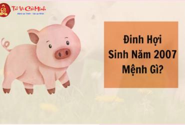 Sinh năm 2007 mệnh gì? Khám phá vận mệnh tuổi Đinh Hợi