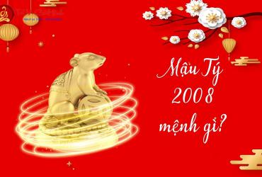 Sinh năm 2008 mệnh gì? Khám phá bản mệnh Thích Lịch Hỏa của tuổi Mậu Tý