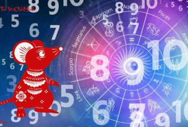 Sinh năm 2008 hợp số mấy? Sim phong thủy cho người sinh năm 2008