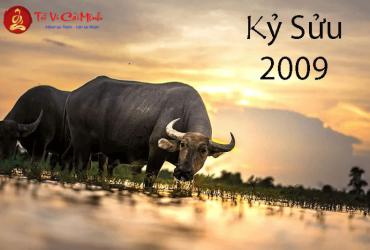 Hướng bàn làm việc cho người sinh năm 2009: Cách xác định đúng hướng theo cung mệnh và phong thủy Bát Trạch