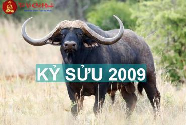 Hướng Kê Giường Ngủ Cho Người Sinh Năm 2009