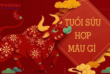 Sinh Năm 2009 Hợp Màu Gì? Chọn Màu Sắc Phong Thủy Để Thu Hút Tài Lộc