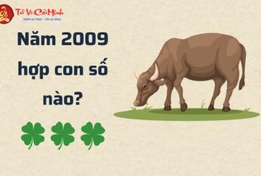 Sinh năm 2009 hợp số mấy? Sim phong thủy cho người sinh năm 2009