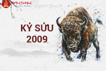 Sinh năm 2009 mua xe màu gì? - Phân tích phong thủy cho tuổi Kỷ Sửu