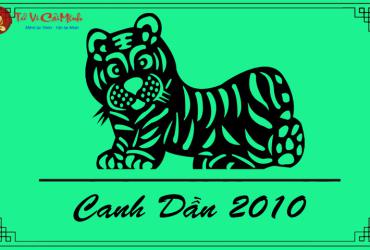 Sinh năm 2010 hợp hướng nào? Phân tích chi tiết từ góc nhìn phong thủy